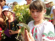 Козацька Фортеця